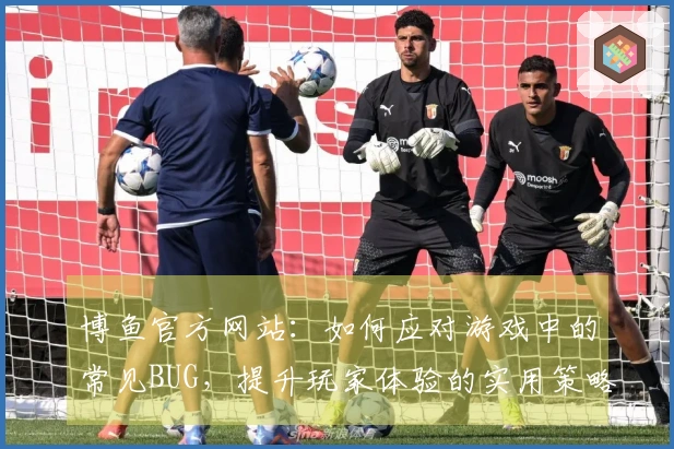博鱼官方网站：如何应对游戏中的常见BUG，提升玩家体验的实用策略